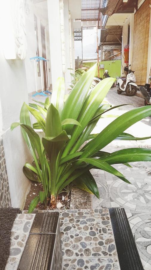 Bali Dd Homestay Seminyak Εξωτερικό φωτογραφία